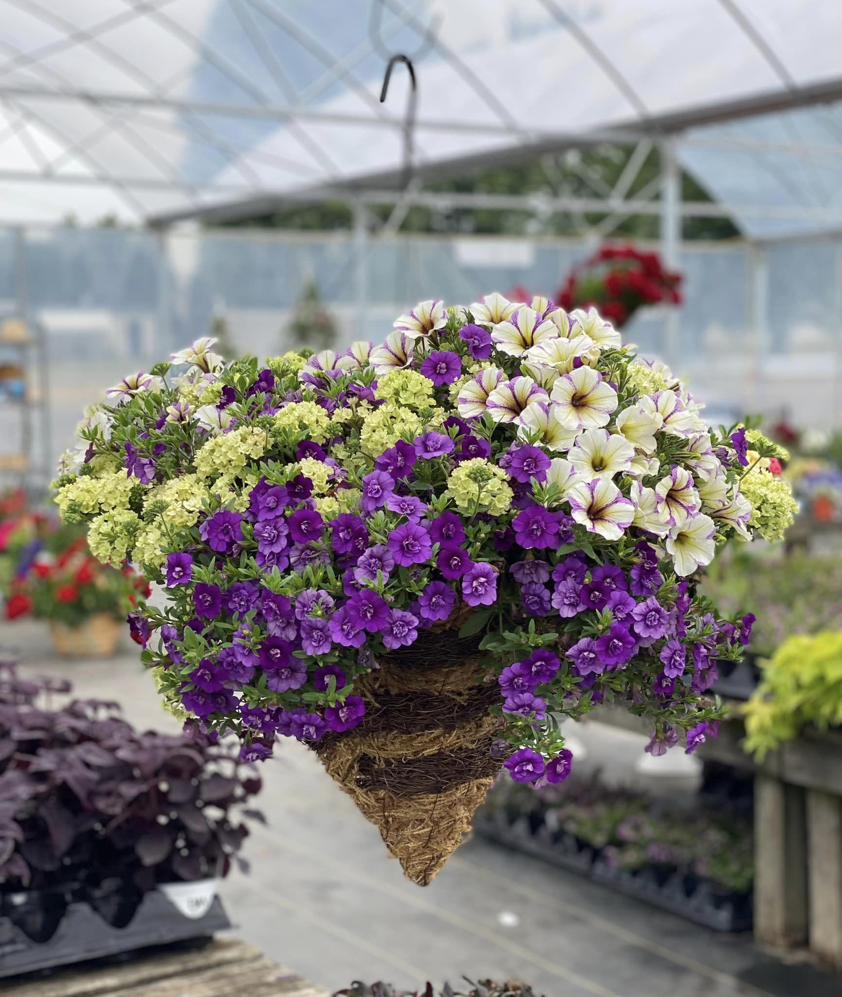 hanging cone-shaped basket with purple, white, and yellow-green flowers