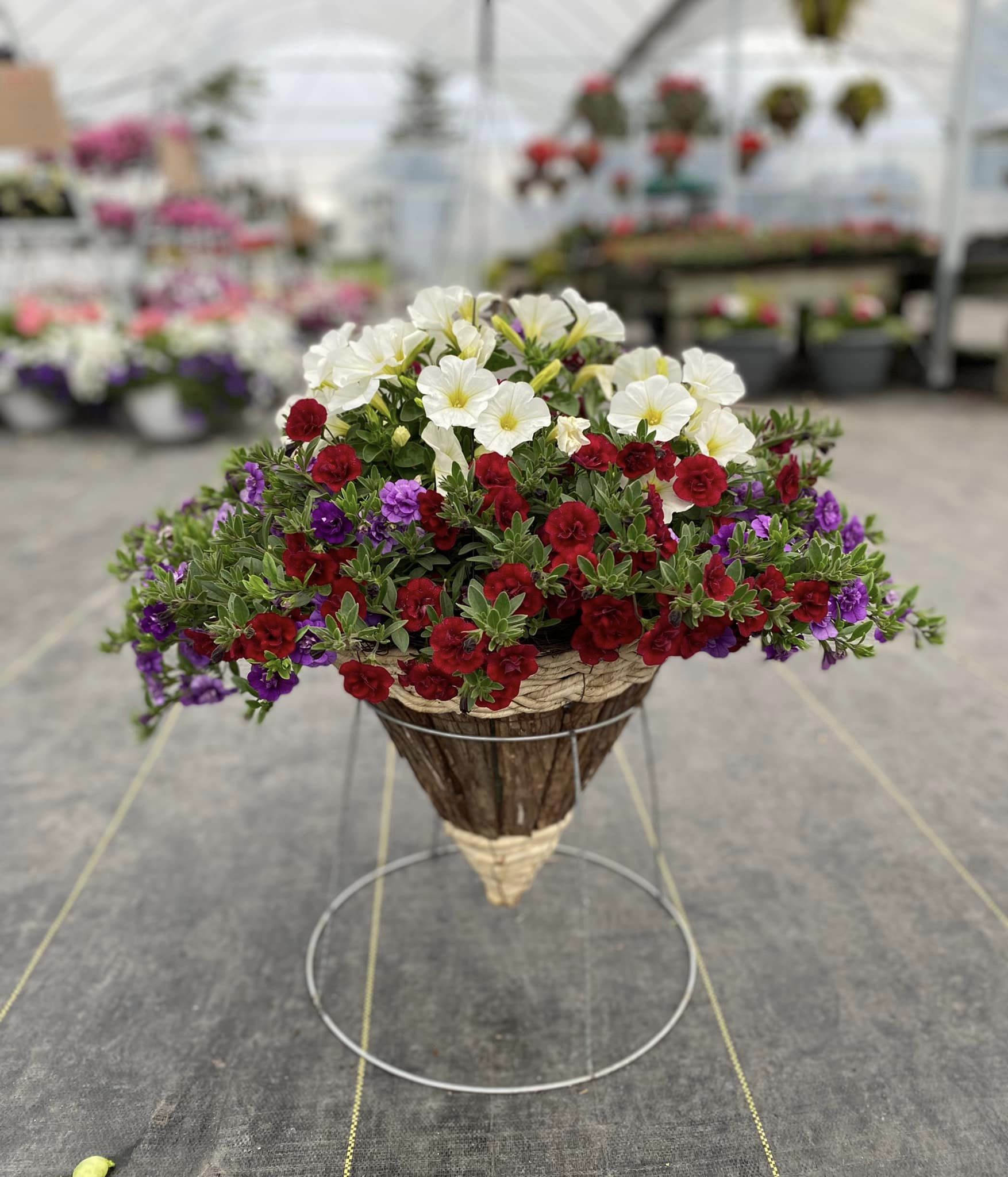 wooden cone pot with gorgeous flowers in a stand